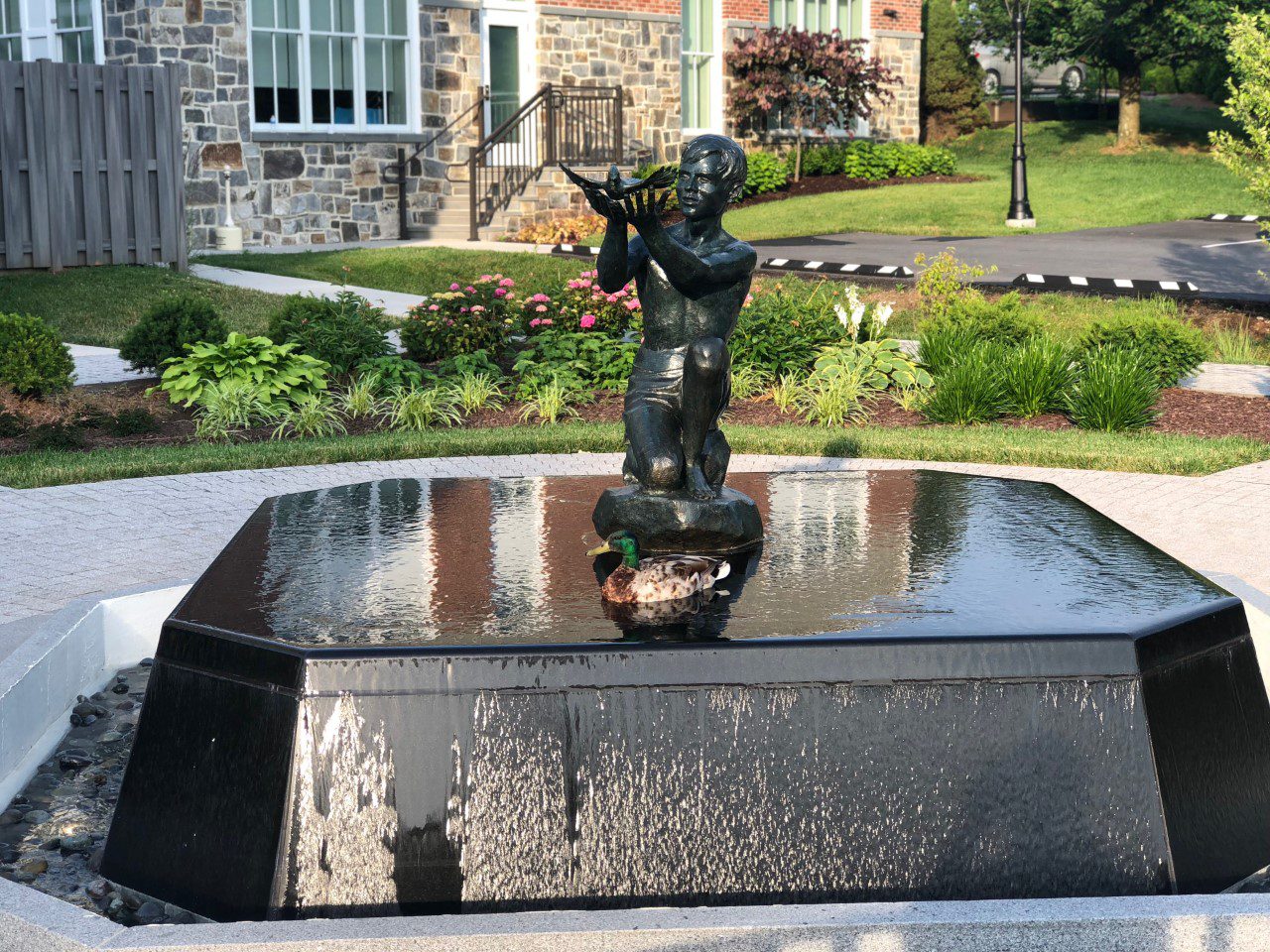 Fountain – ClearView Communities male mallard duck sitting in statue fountain water at ClearView - Community-Based Psychiatric Health Treatment in Maryland